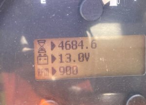 19